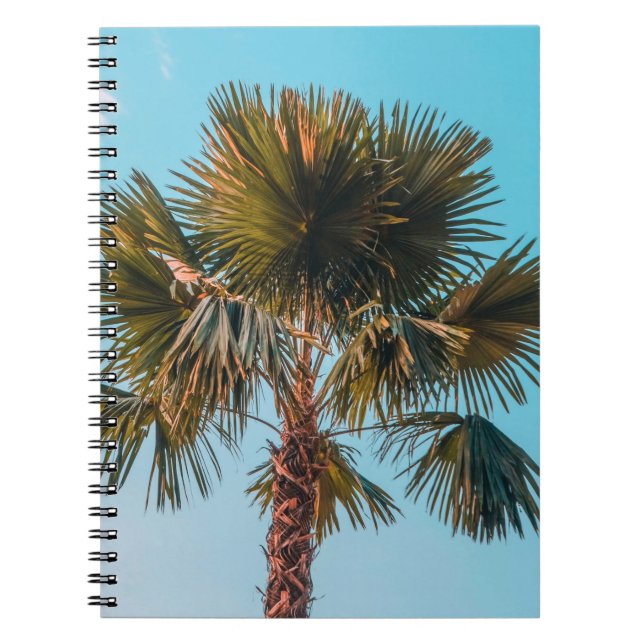 Cuaderno Palmera verde (Frente)