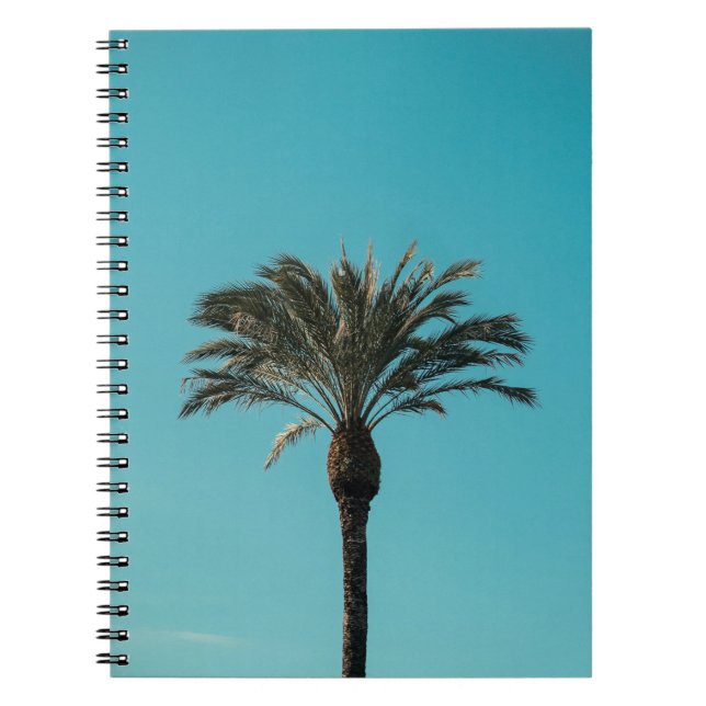 Cuaderno Palmera verde (Frente)
