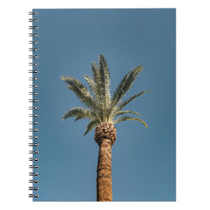 Cuaderno Palmera verde bajo cielo azul por la mañana