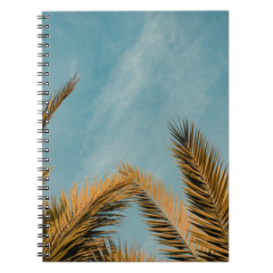 Cuaderno Palmera verde bajo cielo azul por la mañana