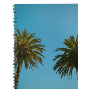 Cuaderno Palmera verde bajo cielo azul por la mañana