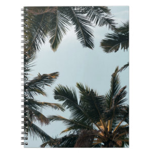 Cuaderno Palmera verde bajo cielo blanco por la mañana