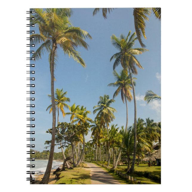 Cuaderno Palmera verde de coco cerca del campo de hierba ve (Frente)