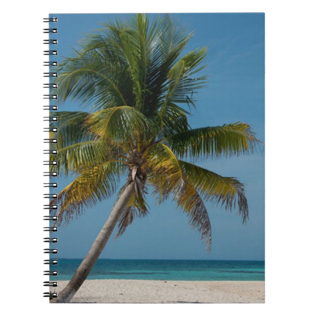 Cuaderno Palmera y playa de arena blanca  2 (Frente)