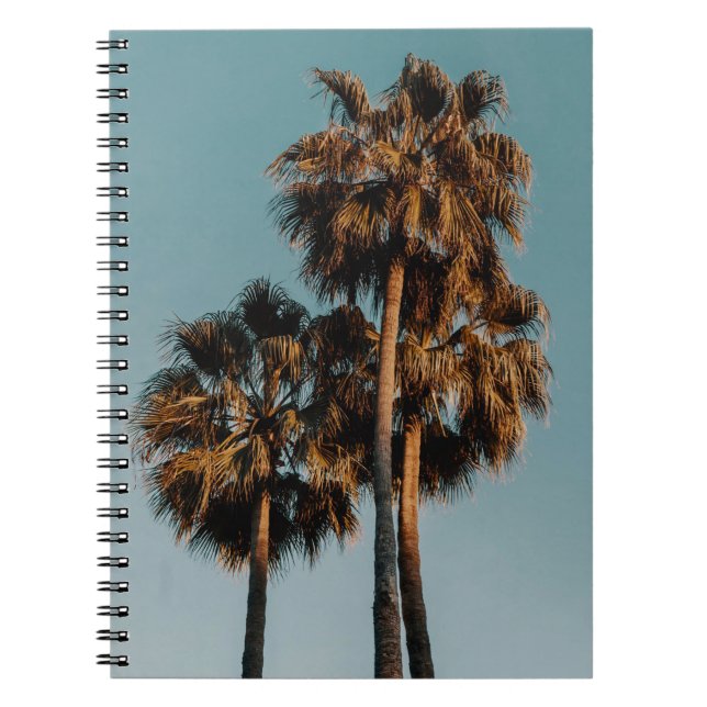 Cuaderno Palmeras (Frente)