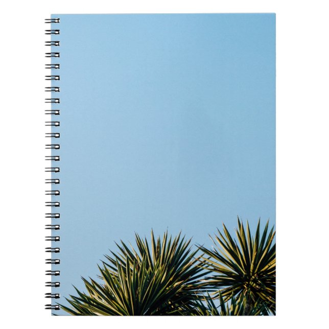 Cuaderno palmeras (Frente)