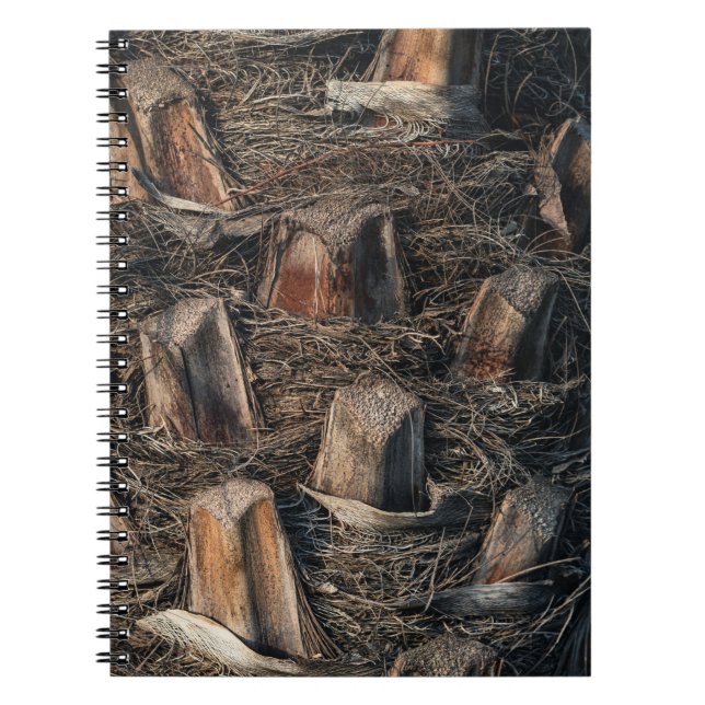 Cuaderno Palmeras (Frente)