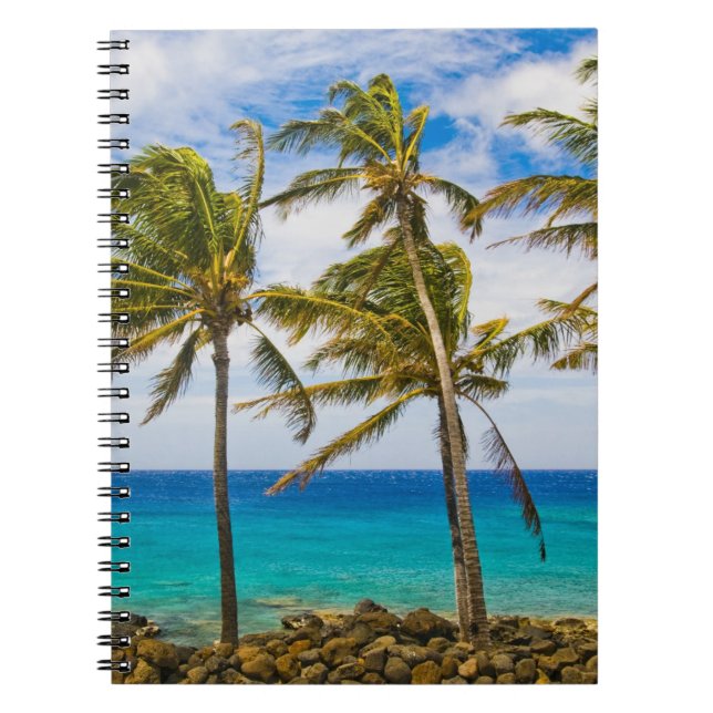 Cuaderno Palmeras de coco (Cocos nucifera) balanceándose en (Frente)