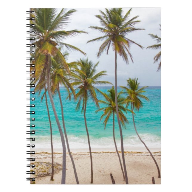 Cuaderno Palmeras de Playa (Frente)