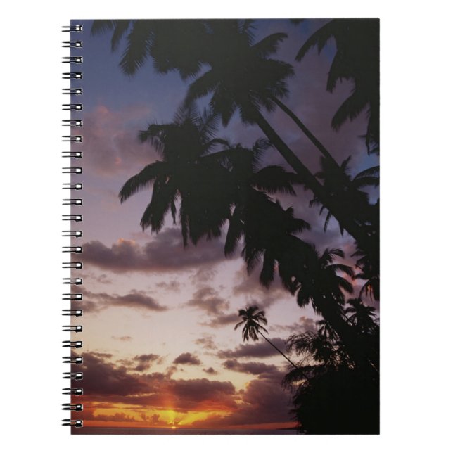 Cuaderno Palmeras junto al mar (Frente)