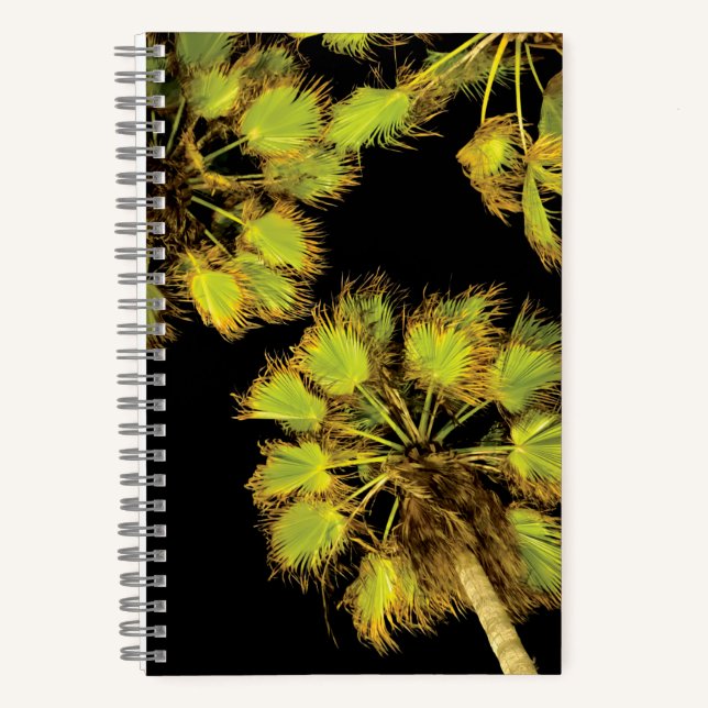 Cuaderno Palmeras nocturnas (Anverso)