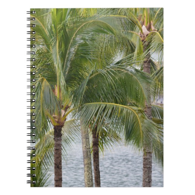 Cuaderno Palmeras Tropicales Hawaii (Frente)