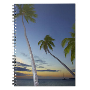 Cuaderno Palmeras y puesta de sol, Plantation Island Resort