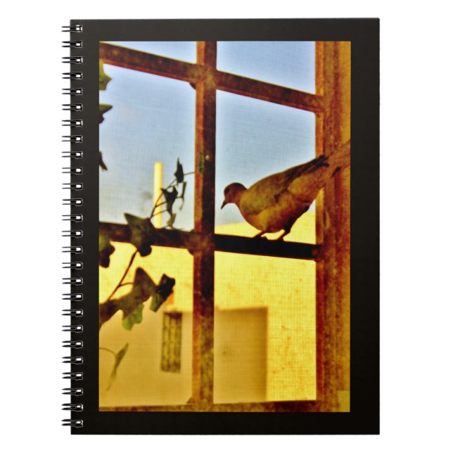 Cuaderno Palo de reposo (Frente)