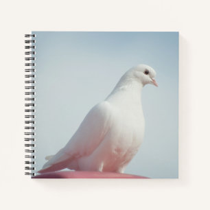 Cuaderno Paloma Blanca Adorable Paloma Amor & Símbolo de Pa