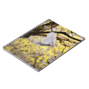 Cuaderno Paloma Blanca Paloma Amor & Símbolo de Paz Ave Cut