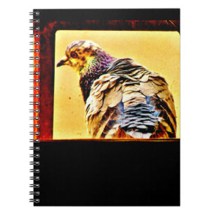 Cuaderno Paloma colorida