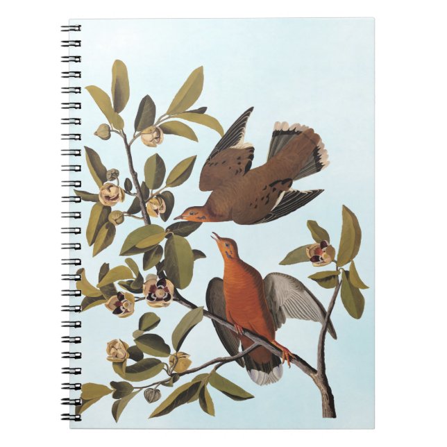Cuaderno Paloma de Audubon Zenaida con flores (Frente)