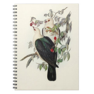 Cuaderno Paloma de Fruto de Cabeza Blanca,