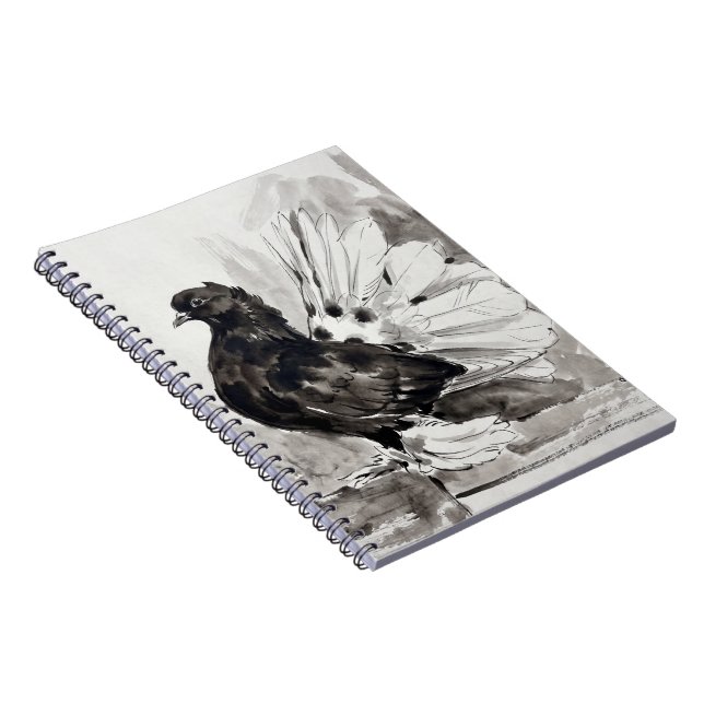 Cuaderno Paloma Indian Fantail Eyeliner Gallina (Lado Derecho)