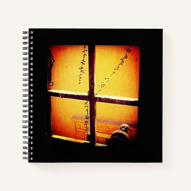 Cuaderno Palomino somnoliento (Anverso)