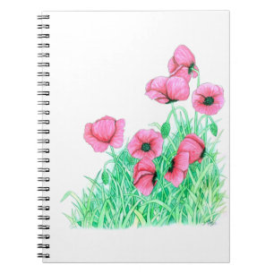 Cuaderno palomitas