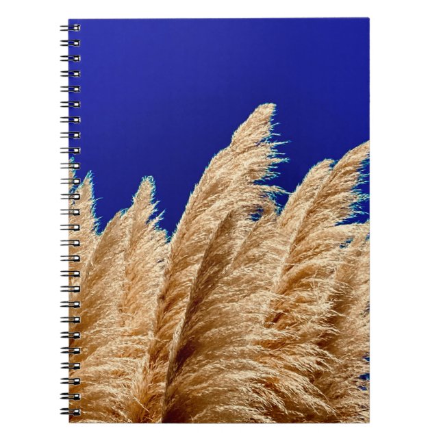 Cuaderno Pampas y Sky Notebook (Frente)