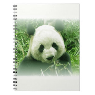 Cuaderno Panda