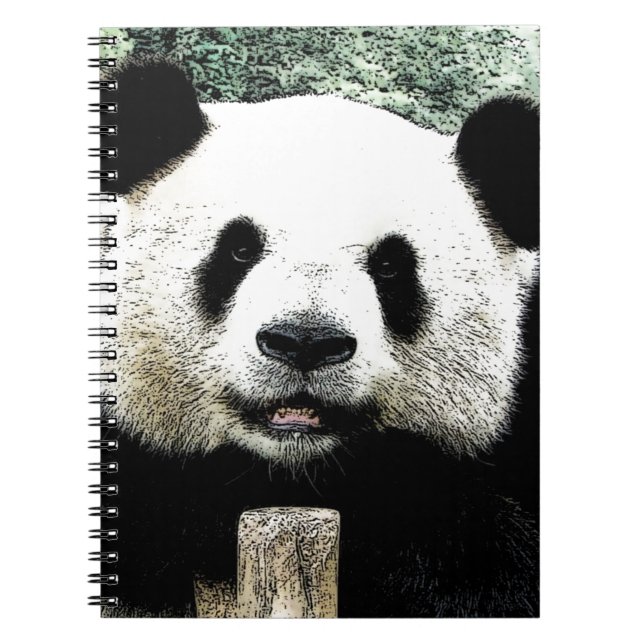 Cuaderno Panda (Frente)