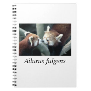 Cuaderno Panda#1 rojo