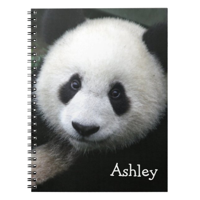 Cuaderno Panda Bear (Frente)