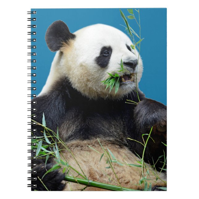 Cuaderno Panda gigante aislado comiendo bambú (Frente)