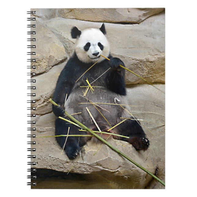 Cuaderno Panda gigante comiendo bambú (Frente)