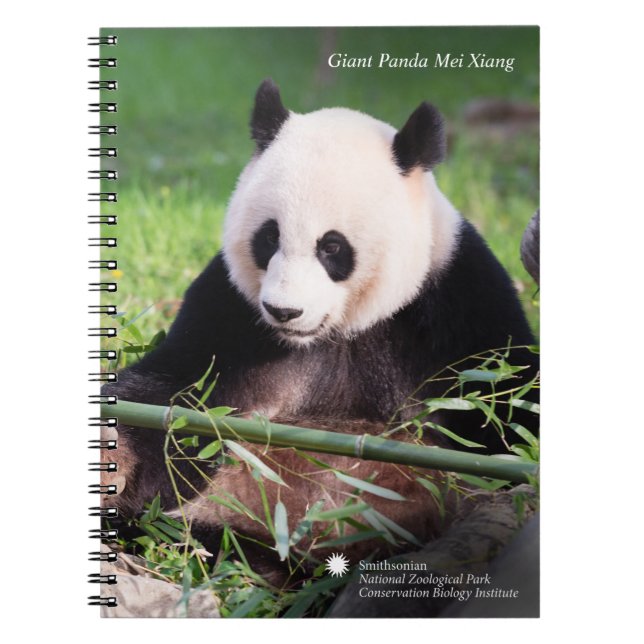 Cuaderno Panda gigante Mei Xiang (Frente)
