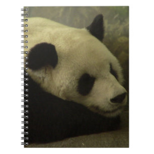 Cuaderno Panda Notebook
