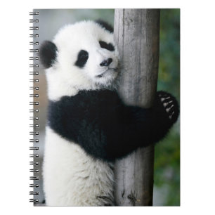 Cuaderno Panda que abraza el poste