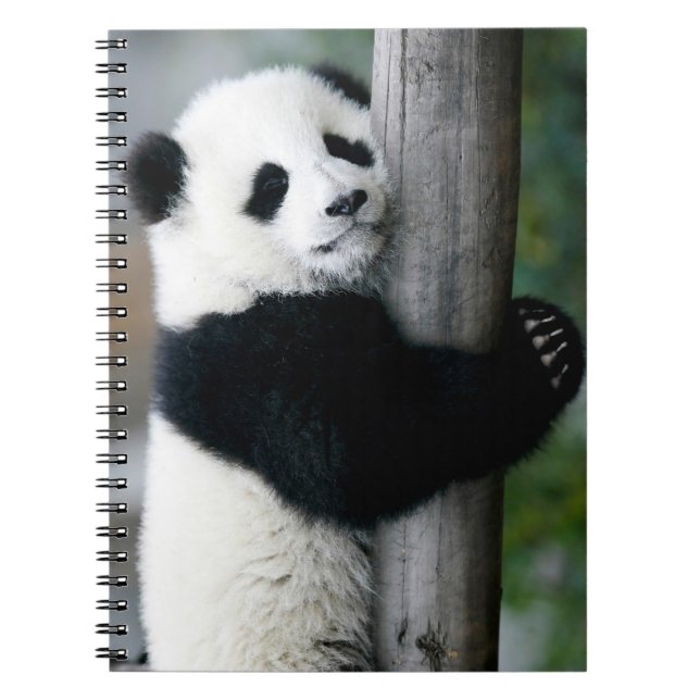 Cuaderno Panda que abraza el poste (Frente)
