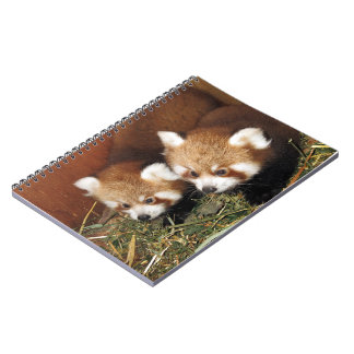 Cuaderno Panda roja