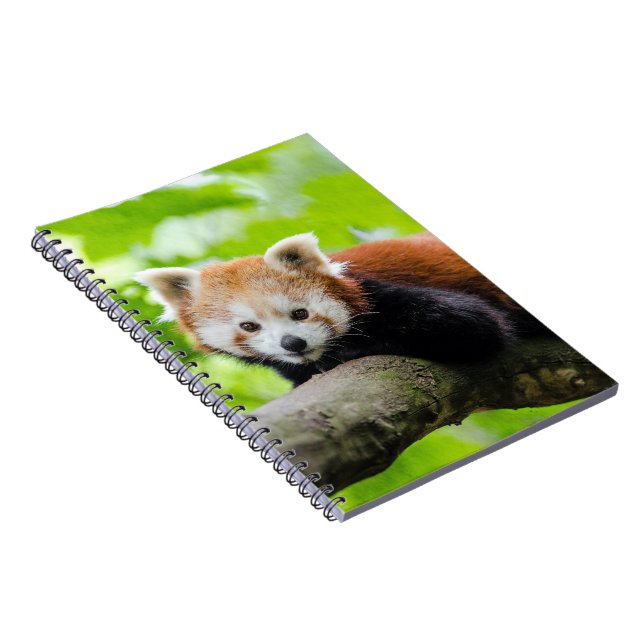 Cuaderno Panda rojo (Lado Derecho)