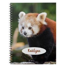 Cuaderno Panda rojo personalizado