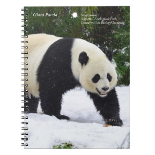 Cuaderno Pandas gigantes de Smithsonian el   en la nieve