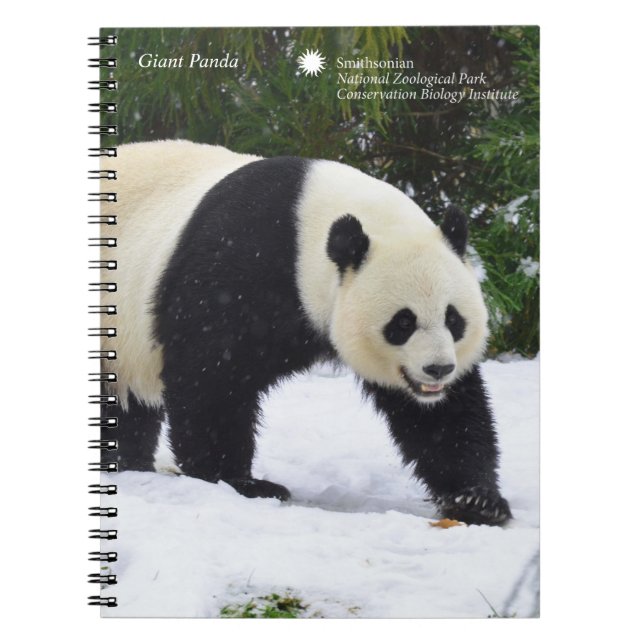 Cuaderno Pandas gigantes de Smithsonian el | en la nieve (Frente)