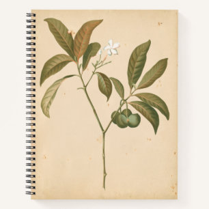 Cuaderno Panel de deco de cobalto I