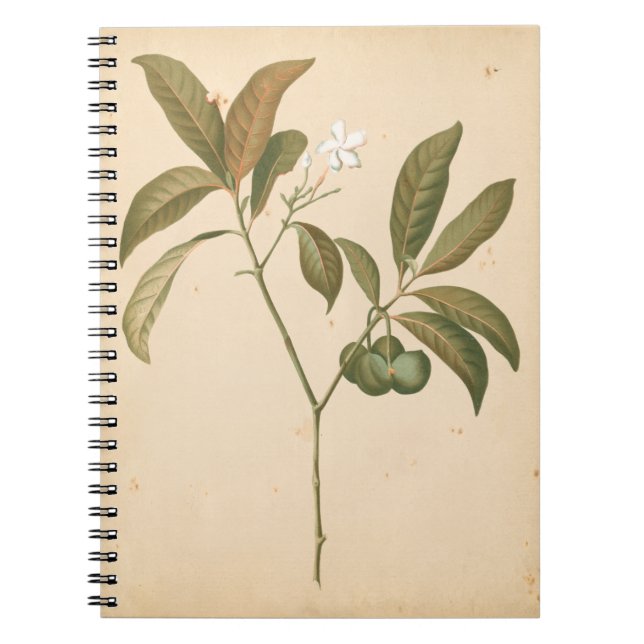 Cuaderno Panel de deco de cobalto I (Frente)