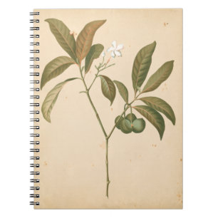 Cuaderno Panel deco cobalto I