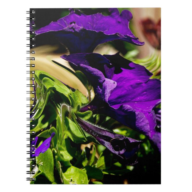 Cuaderno Pánico morado (Frente)