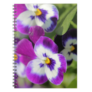 Cuaderno Panorama