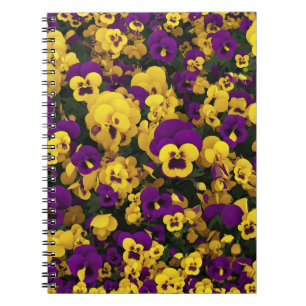 Cuaderno Pansias amarillas y moradas