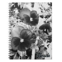 Pansy Monocromo Artístico de Foto de la Naturaleza