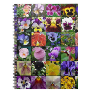Cuaderno Pansy Pansies